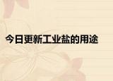 今日更新工业盐的用途