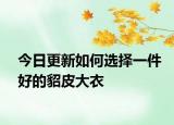 今日更新如何选择一件好的貂皮大衣