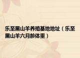 乐至黑山羊养殖基地地址（乐至黑山羊六月龄体重）