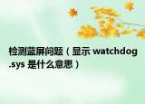 检测蓝屏问题（显示 watchdog.sys 是什么意思）