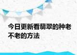今日更新看翡翠的种老不老的方法