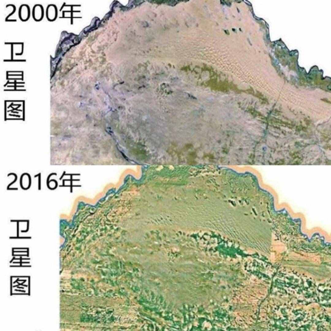 明明不是植物的发菜，为什么会被列为一级保护植物？
