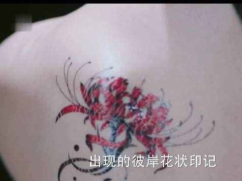 风云令真相揭晓，是楚乔香肩上的彼岸花，但这也太草率了吧