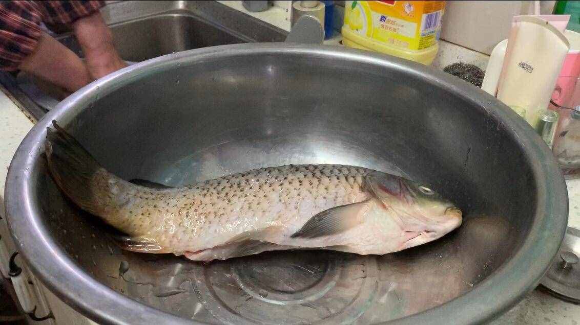 家常炖鱼，直接下锅炸就错了！多加一步，鱼肉酥烂不破皮，太香了