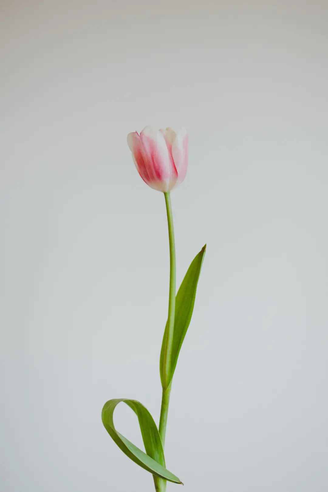快收藏这份春游踏青全攻略，草地微风、野餐花海，不负好春光