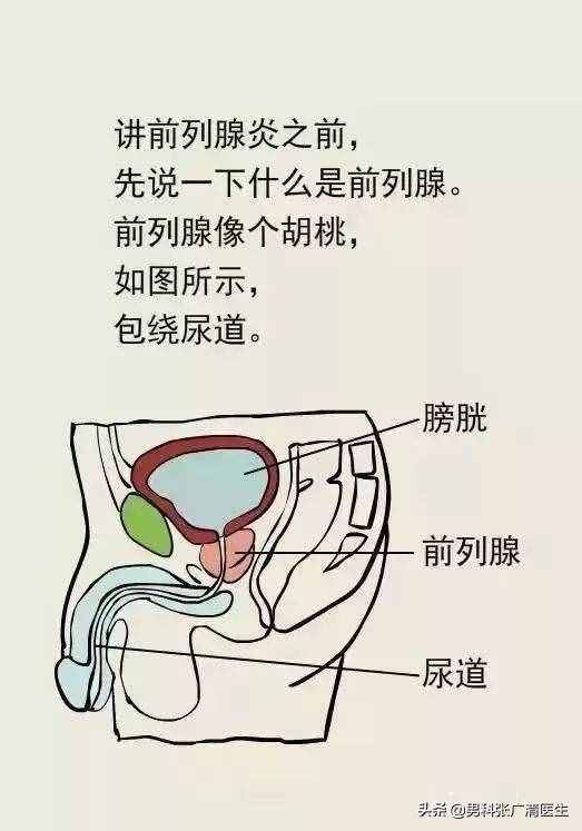 前列腺指检的亲身经历图片