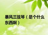 暴风三弦琴（是个什么东西啊）
