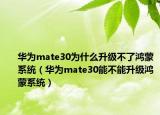 华为mate30为什么升级不了鸿蒙系统（华为mate30能不能升级鸿蒙系统）