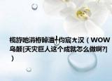 榄斿吔涓栫晫澶╃伨宸ㄤ汉（WOW乌颠[天灾巨人这个成就怎么做啊?]）