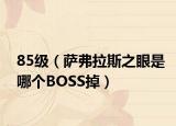 85级（萨弗拉斯之眼是哪个BOSS掉）