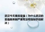 武汉今天重度雾霾（为什么武汉的雾霾越来越严重有没有强制手段解决）