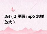 IGI（2 里面 mp5 怎样放大）