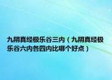 九阴真经极乐谷三内（九阴真经极乐谷六内各四内比哪个好点）