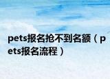 pets报名抢不到名额（pets报名流程）