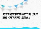 天津卫视天下无双综艺节目（天津卫视《天下无双》是什么）