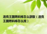 洛克王国燃料棒怎么获取（洛克王国燃料棒怎么找）