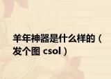 羊年神器是什么样的（发个图 csol）