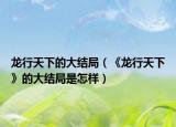 龙行天下的大结局（《龙行天下》的大结局是怎样）