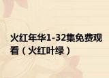 火红年华1-32集免费观看（火红叶绿）