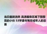 当日最新消息 高速服务区喝下敌敌畏的小伙 53字遗书写尽成年人的悲喜