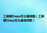工商银行app怎么查明细（工商银行app怎么查询贷款）