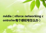nvidia（nforce networking controller有个感叹号怎么办）