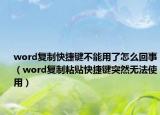 word复制快捷键不能用了怎么回事（word复制粘贴快捷键突然无法使用）