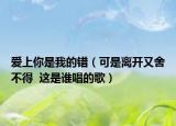 爱上你是我的错（可是离开又舍不得  这是谁唱的歌）