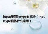 input里面的type有哪些（inputtype具体什么意思）