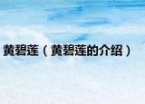 黄碧莲（黄碧莲的介绍）