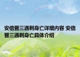 安倍晋三遇刺身亡详细内容 安倍晋三遇刺身亡具体介绍
