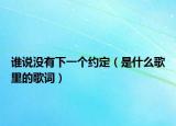 谁说没有下一个约定（是什么歌里的歌词）