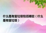 什么是有害垃圾包括哪些（什么是有害垃圾）