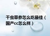 干虫草参怎么吃最佳（国产cc怎么样）