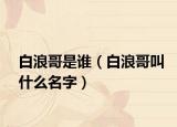白浪哥是谁（白浪哥叫什么名字）