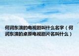 何润东演的电视剧叫什么名字（何润东演的桌原电视剧片名叫什么）