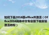 如何下载2016版office并激活（Office2016简体中文专业版下载安装激活教程）