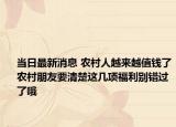当日最新消息 农村人越来越值钱了农村朋友要清楚这几项福利别错过了哦