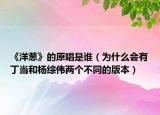 《洋葱》的原唱是谁（为什么会有丁当和杨综伟两个不同的版本）