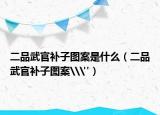 二品武官补子图案是什么（二品武官补子图案\
