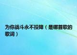 为你战斗永不投降（是哪首歌的歌词）