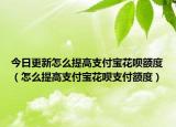 今日更新怎么提高支付宝花呗额度（怎么提高支付宝花呗支付额度）