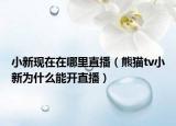 小新现在在哪里直播（熊猫tv小新为什么能开直播）