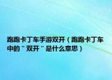 跑跑卡丁车手游双开（跑跑卡丁车中的＂双开＂是什么意思）