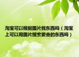 淘宝可以根据图片找东西吗（淘宝上可以用图片搜索要查的东西吗）