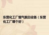 东营化工厂烟气脱白设备（东营化工厂哪个好）