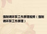 强制循环泵工作原理视频（强制循环泵工作原理）
