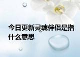 今日更新灵魂伴侣是指什么意思