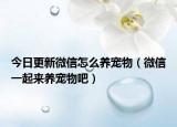 今日更新微信怎么养宠物（微信一起来养宠物吧）