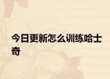 今日更新怎么训练哈士奇